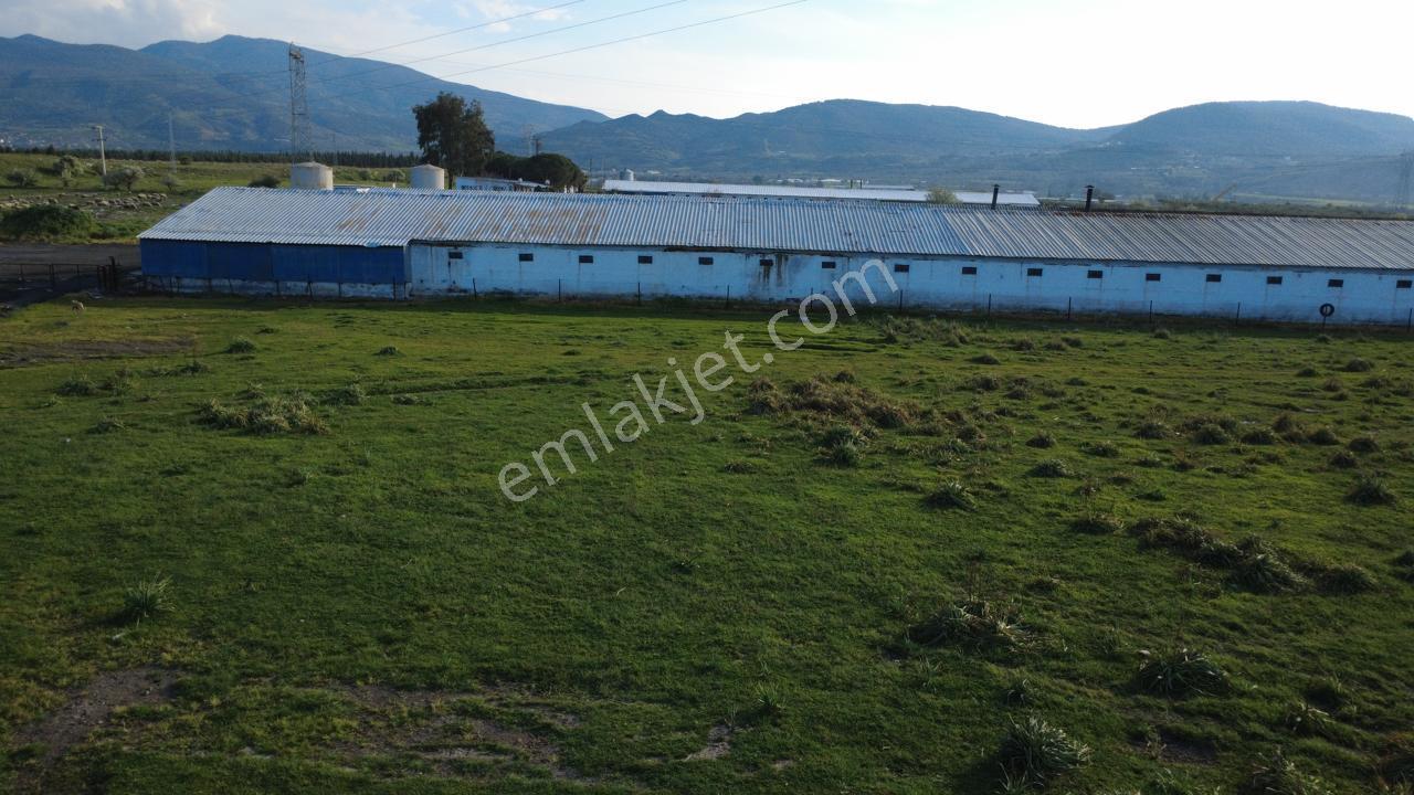 Güzelhisarda 454m2 Satılık Tarla - Görsel 27