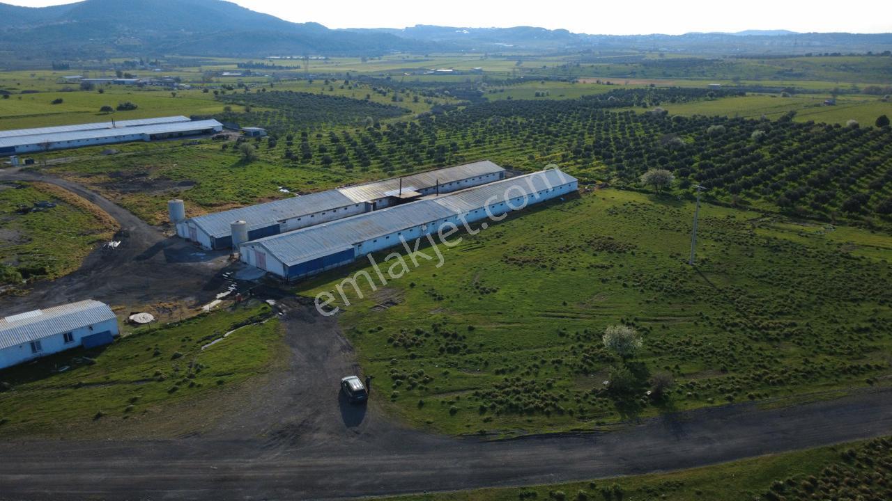 Güzelhisarda 454m2 Satılık Tarla - Görsel 15