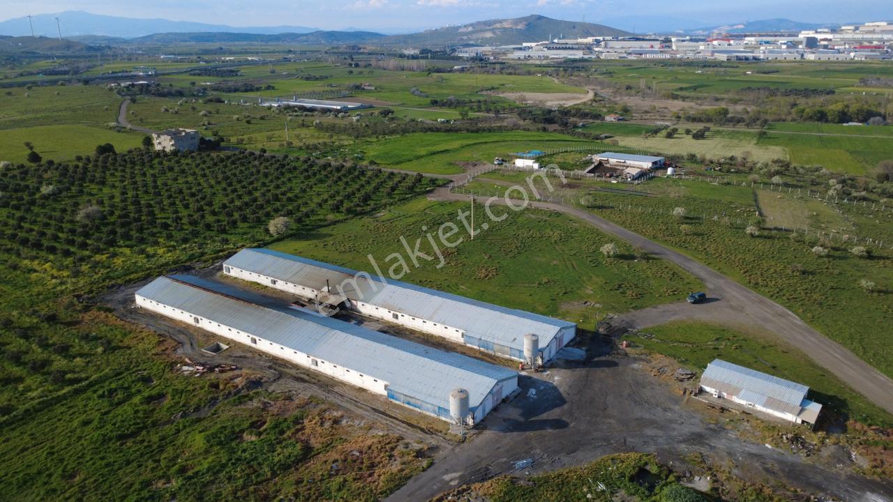 Güzelhisarda 454m2 Satılık Tarla - Görsel 32