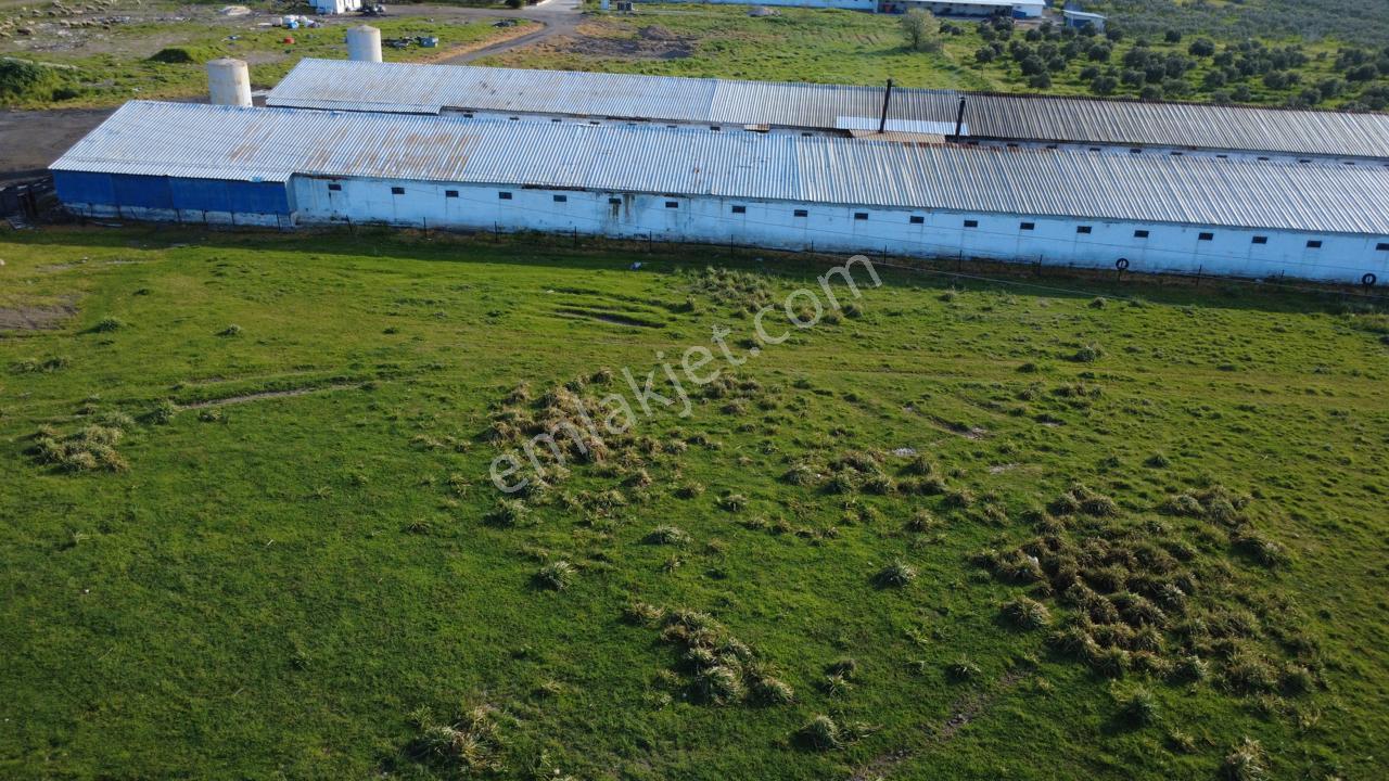 Güzelhisarda 454m2 Satılık Tarla - Görsel 28