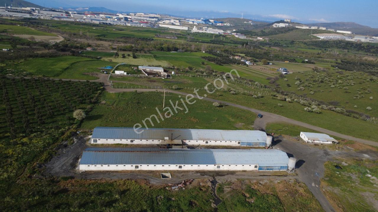 Güzelhisarda 454m2 Satılık Tarla - Görsel 19