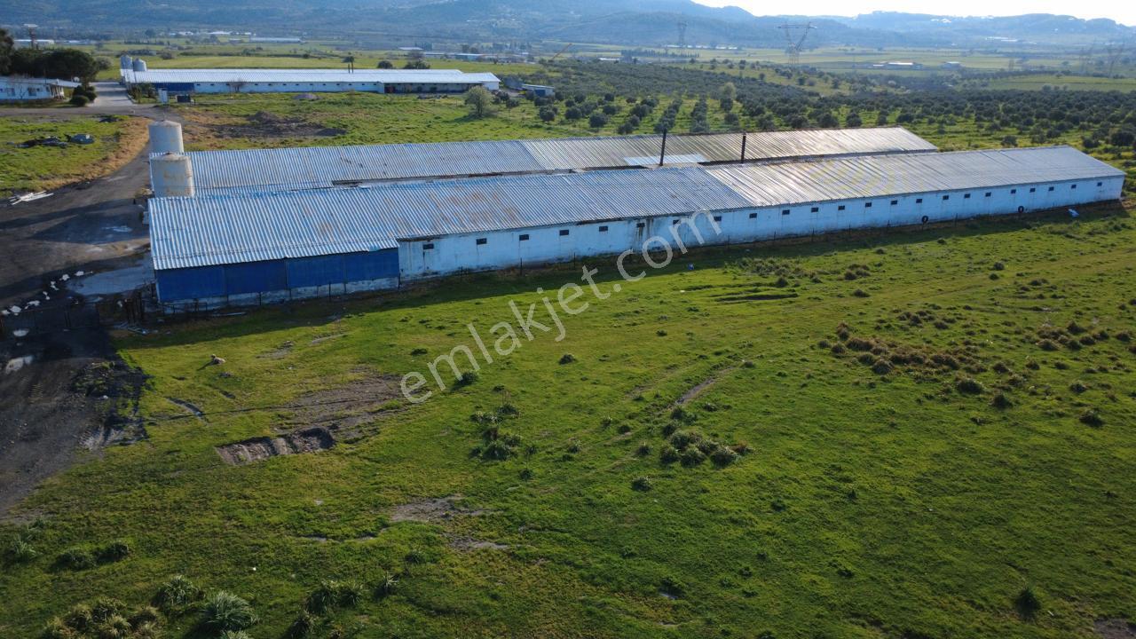 Güzelhisarda 454m2 Satılık Tarla - Görsel 10