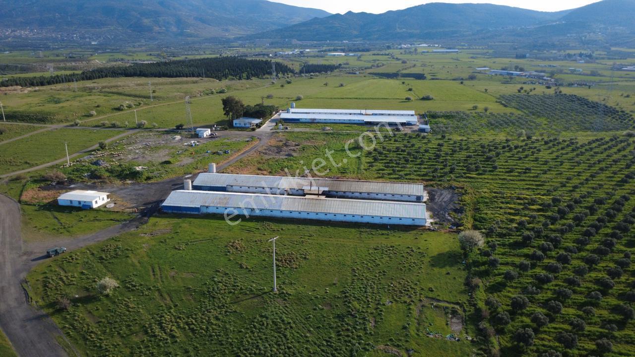 Güzelhisarda 454m2 Satılık Tarla - Görsel 11