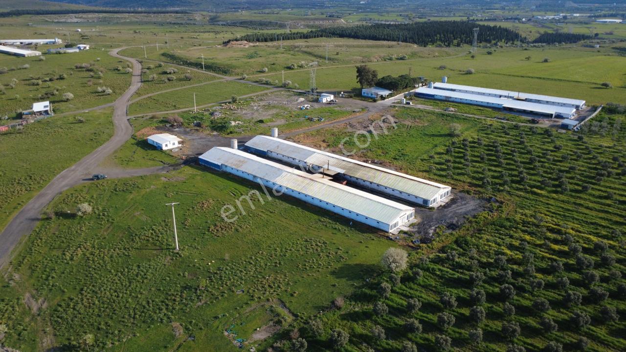 Güzelhisarda 454m2 Satılık Tarla - Görsel 17