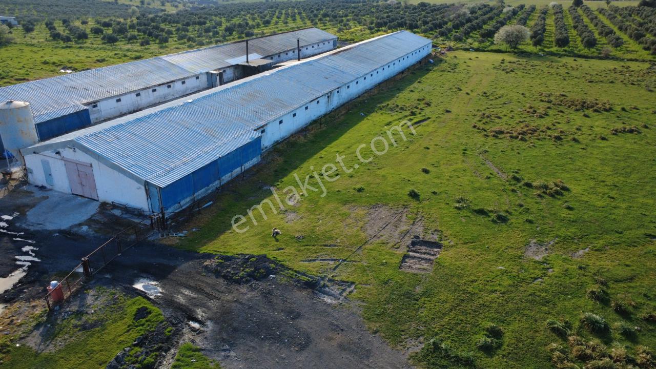 Güzelhisarda 454m2 Satılık Tarla - Görsel 16