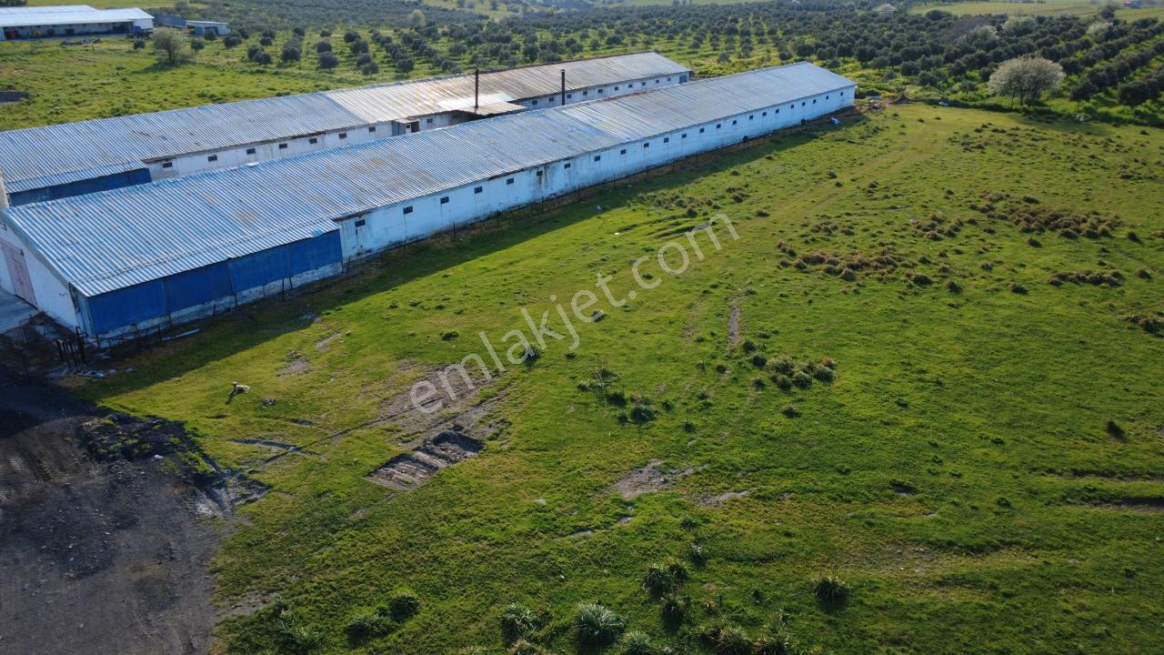 Güzelhisarda 454m2 Satılık Tarla - Görsel 9