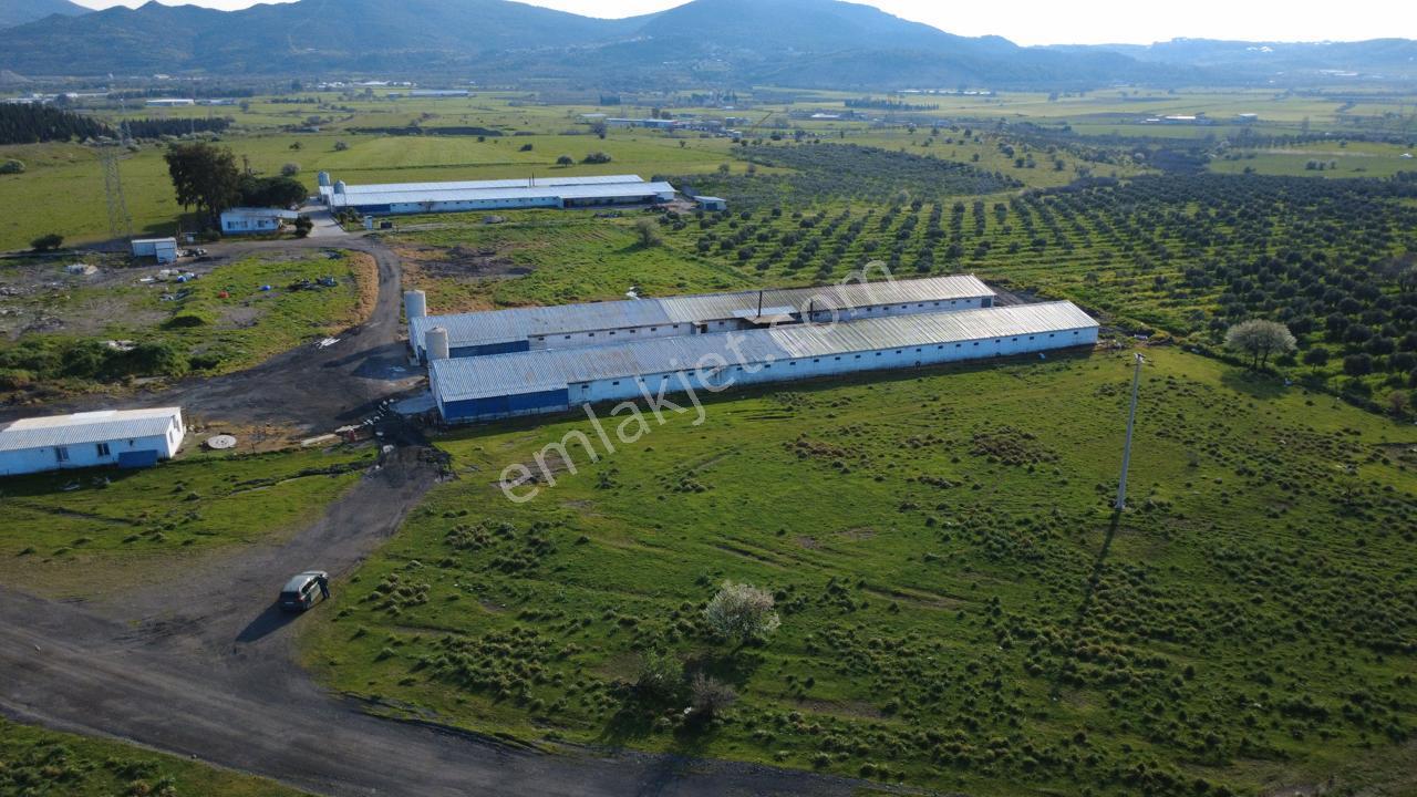 Güzelhisarda 454m2 Satılık Tarla - Görsel 33