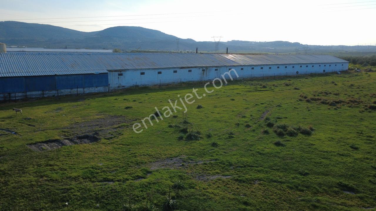 Güzelhisarda 454m2 Satılık Tarla
