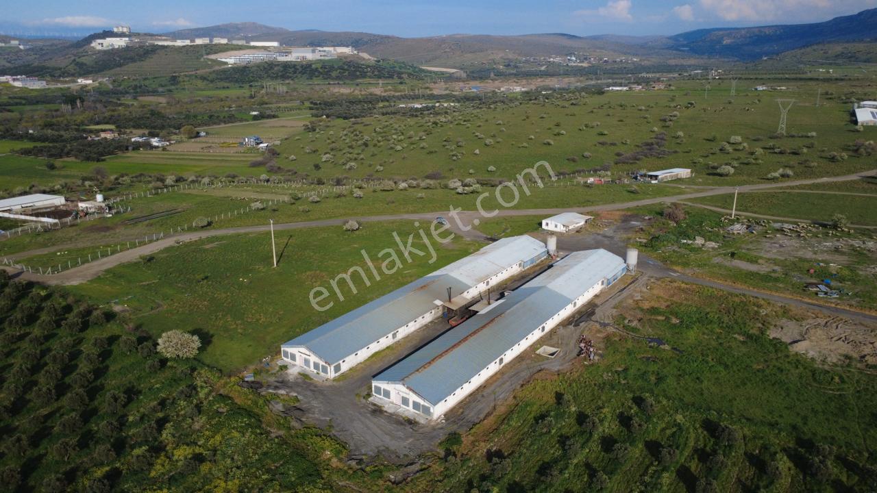 Güzelhisarda 454m2 Satılık Tarla - Görsel 30