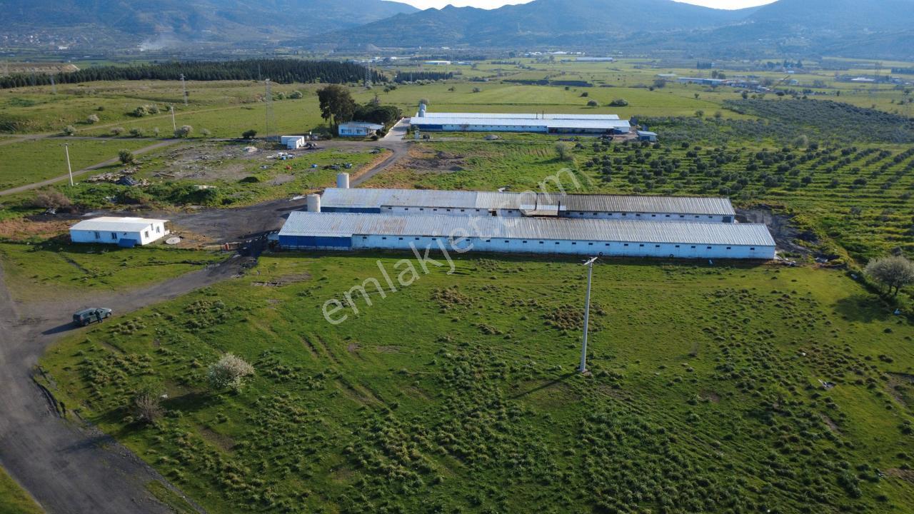 Güzelhisarda 454m2 Satılık Tarla - Görsel 26