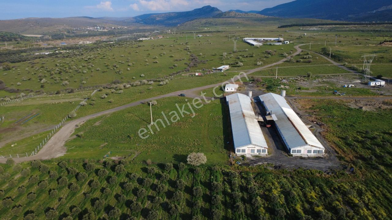 Güzelhisarda 454m2 Satılık Tarla - Görsel 24