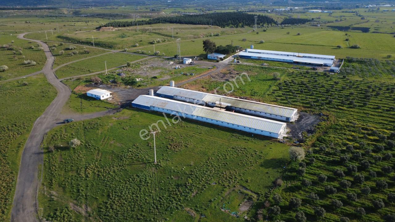 Güzelhisarda 454m2 Satılık Tarla - Görsel 31