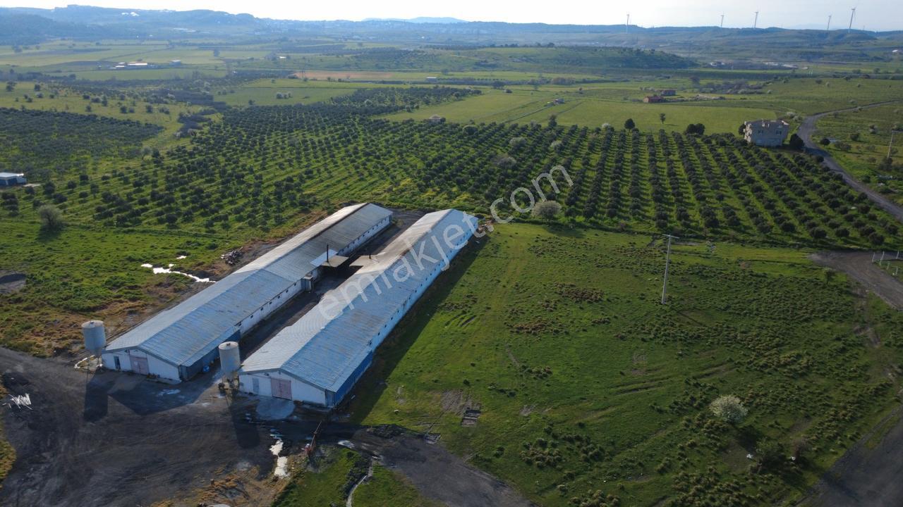 Güzelhisarda 454m2 Satılık Tarla - Görsel 21