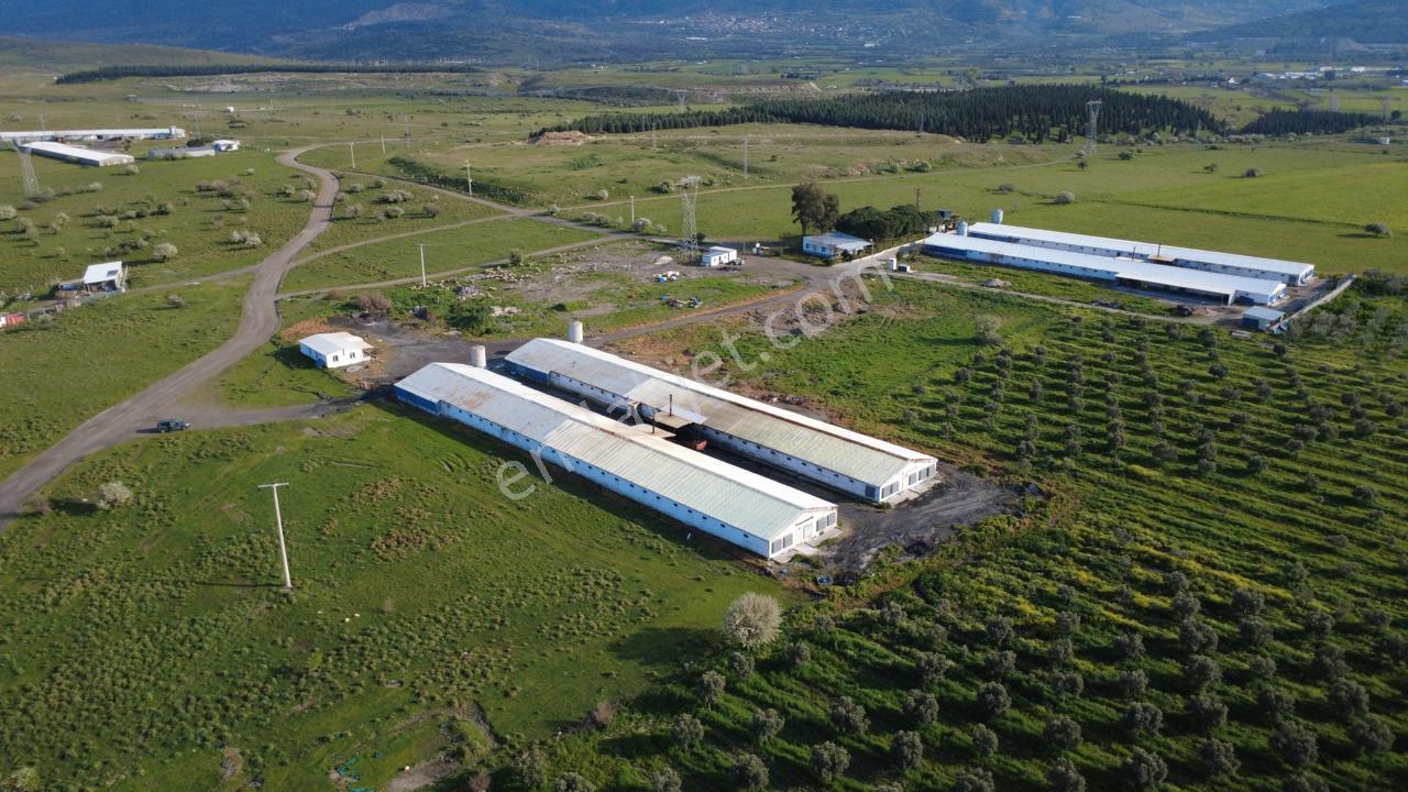 Güzelhisarda 454m2 Satılık Tarla - Görsel 13