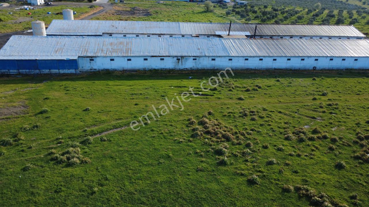 Güzelhisarda 454m2 Satılık Tarla - Görsel 8