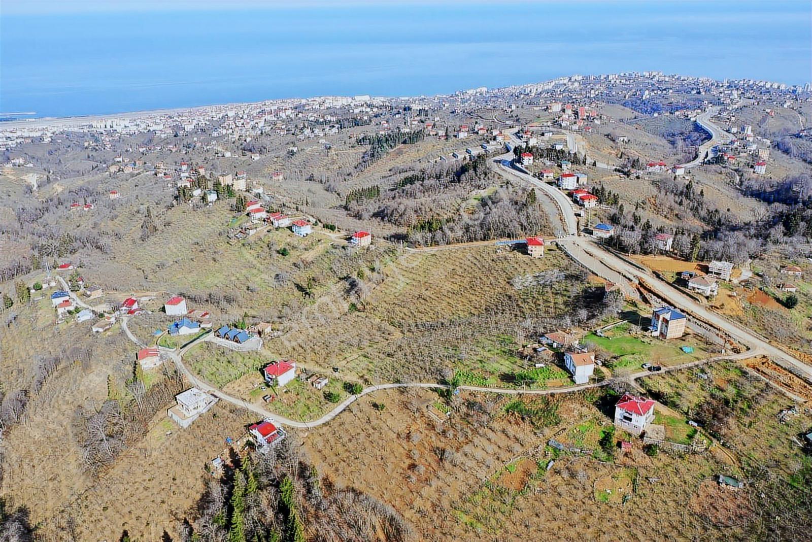 Trabzon Gayrimenkulden Çileklide Satılık Deniz Manzaralı Arsa - Görsel 11