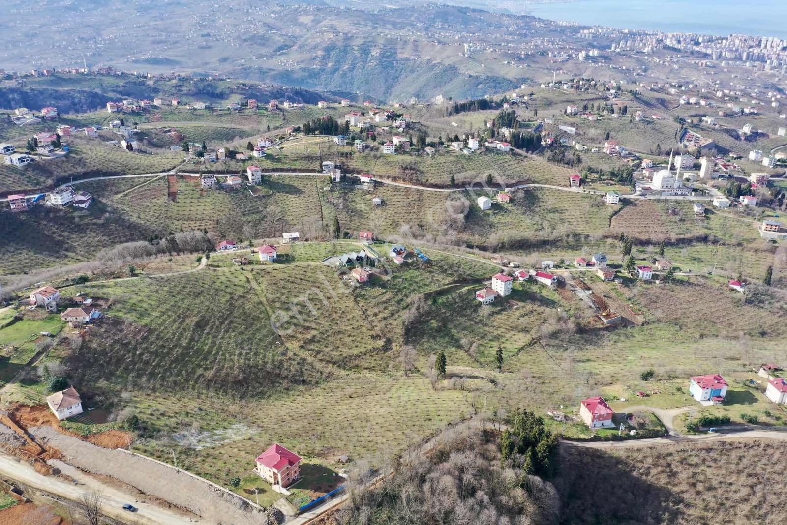 Trabzon Gayrimenkulden Çileklide Satılık Deniz Manzaralı Arsa - Görsel 15
