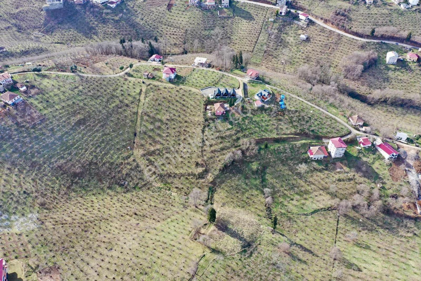 Trabzon Gayrimenkulden Çileklide Satılık Deniz Manzaralı Arsa - Görsel 20