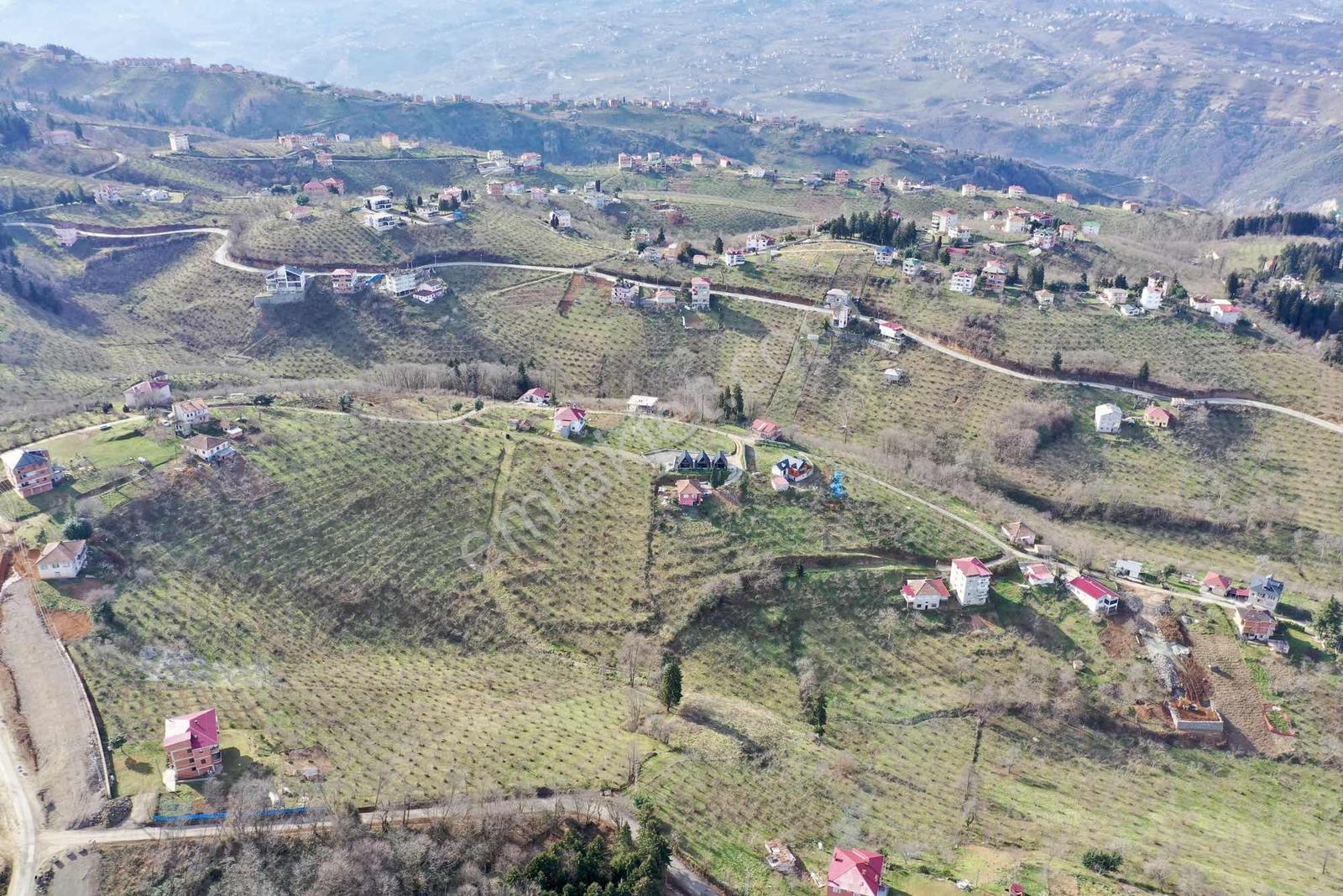 Trabzon Gayrimenkulden Çileklide Satılık Deniz Manzaralı Arsa - Görsel 19
