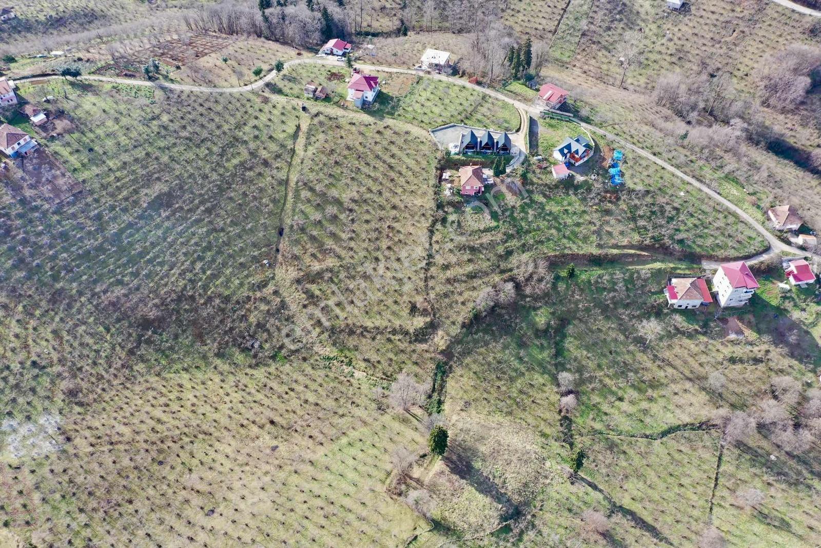 Trabzon Gayrimenkulden Çileklide Satılık Deniz Manzaralı Arsa - Görsel 21