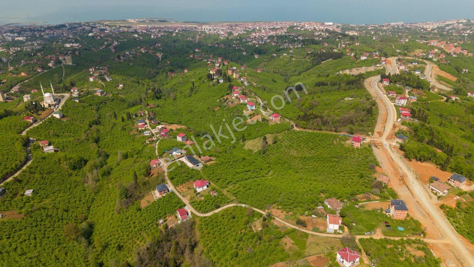 Trabzon Gayrimenkulden Çileklide Satılık Deniz Manzaralı Arsa - Görsel 32