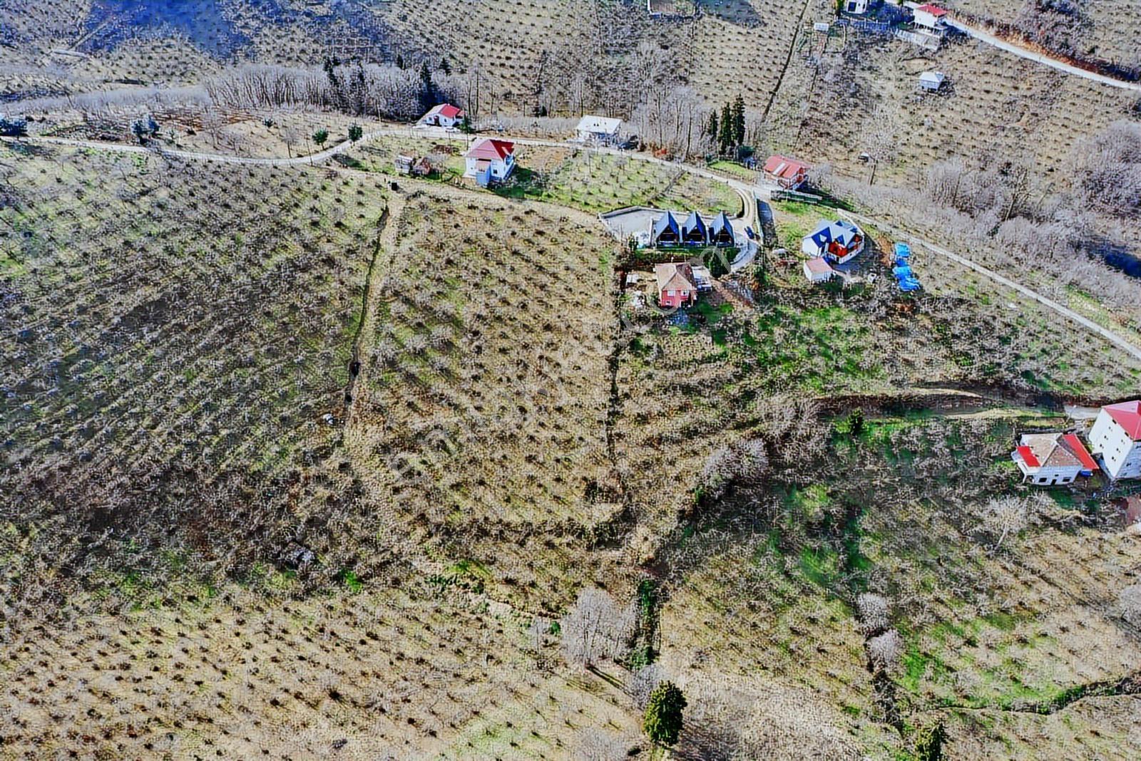 Trabzon Gayrimenkulden Çileklide Satılık Deniz Manzaralı Arsa - Görsel 18