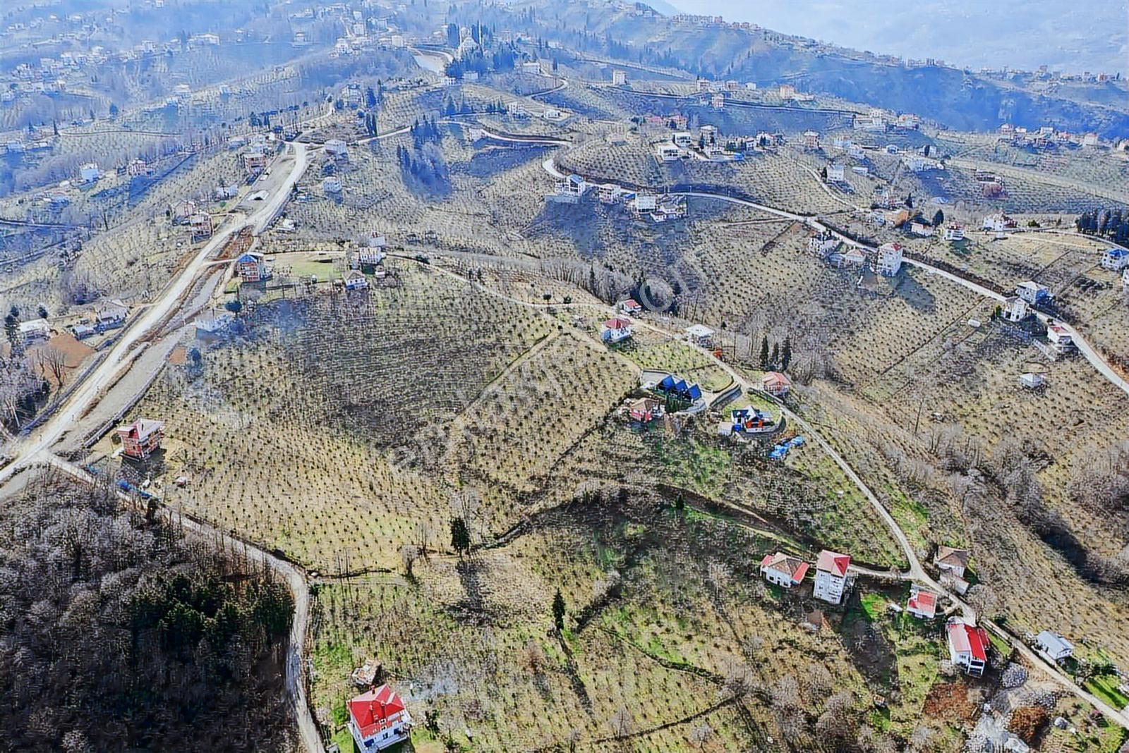 Trabzon Gayrimenkulden Çileklide Satılık Deniz Manzaralı Arsa - Görsel 8