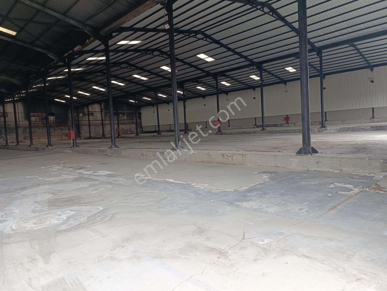 Remax Toros'tan 1. Organizede Her Türlü Kullanıma Uygun Depolar - Görsel 8