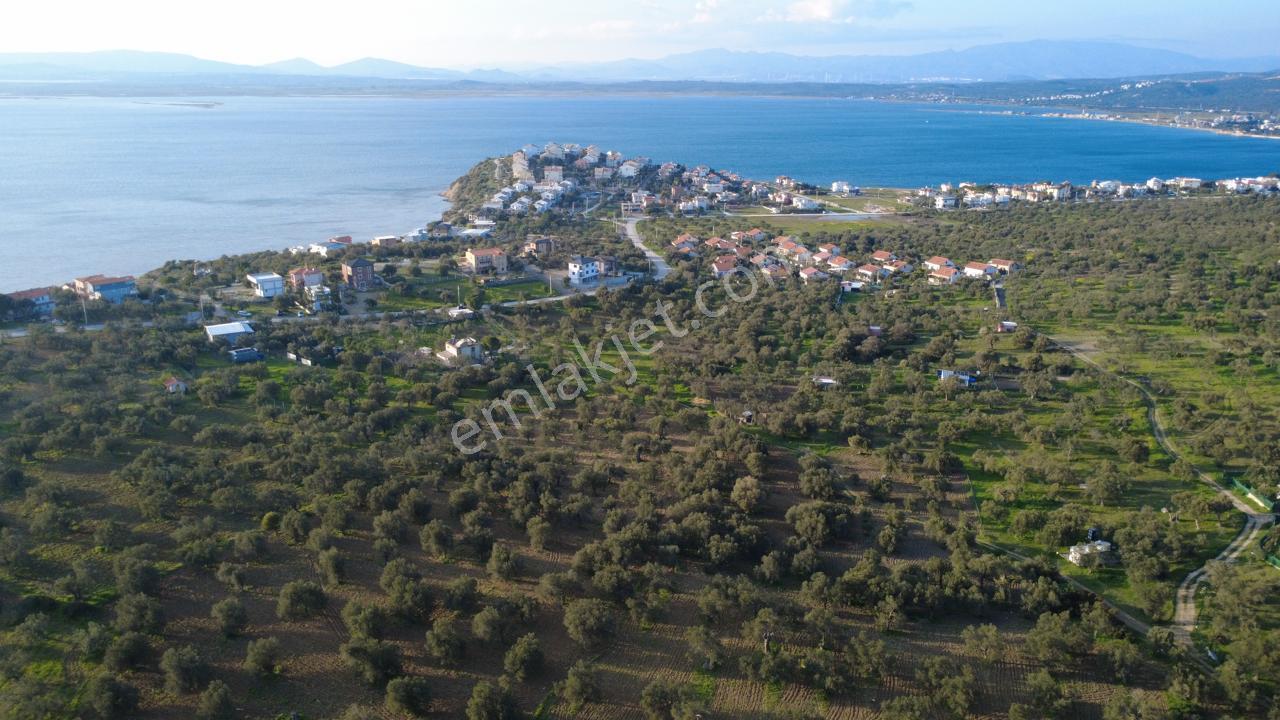 Aşağışakranda Uygulama İçerisinde İmara Açılacak 2400m2 Zeytinli - Görsel 24