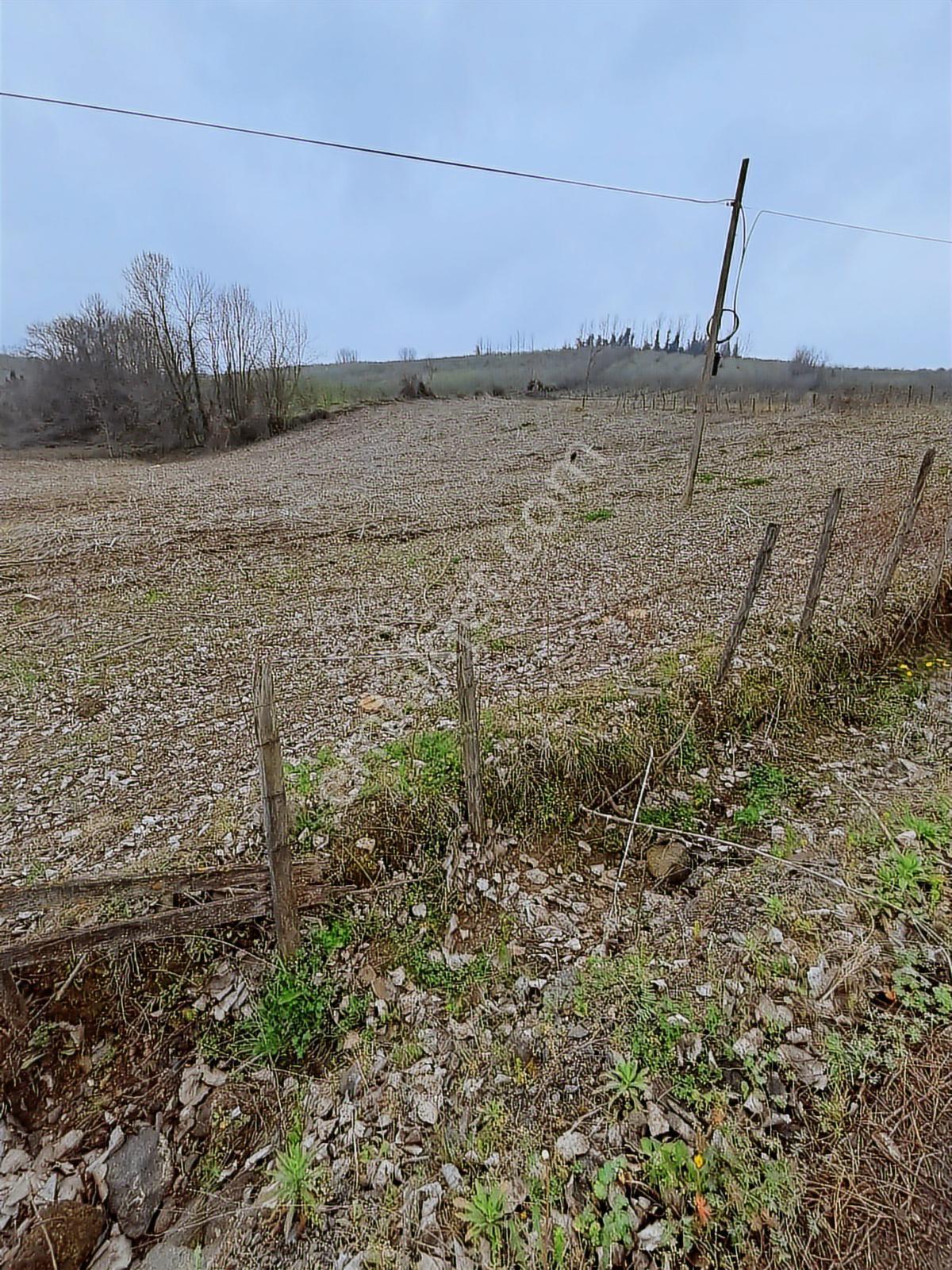 Samsun Tekkeköy Balcalı Yelkırık Mevkisind 6790 M2 Satılık Tarla - Görsel 6