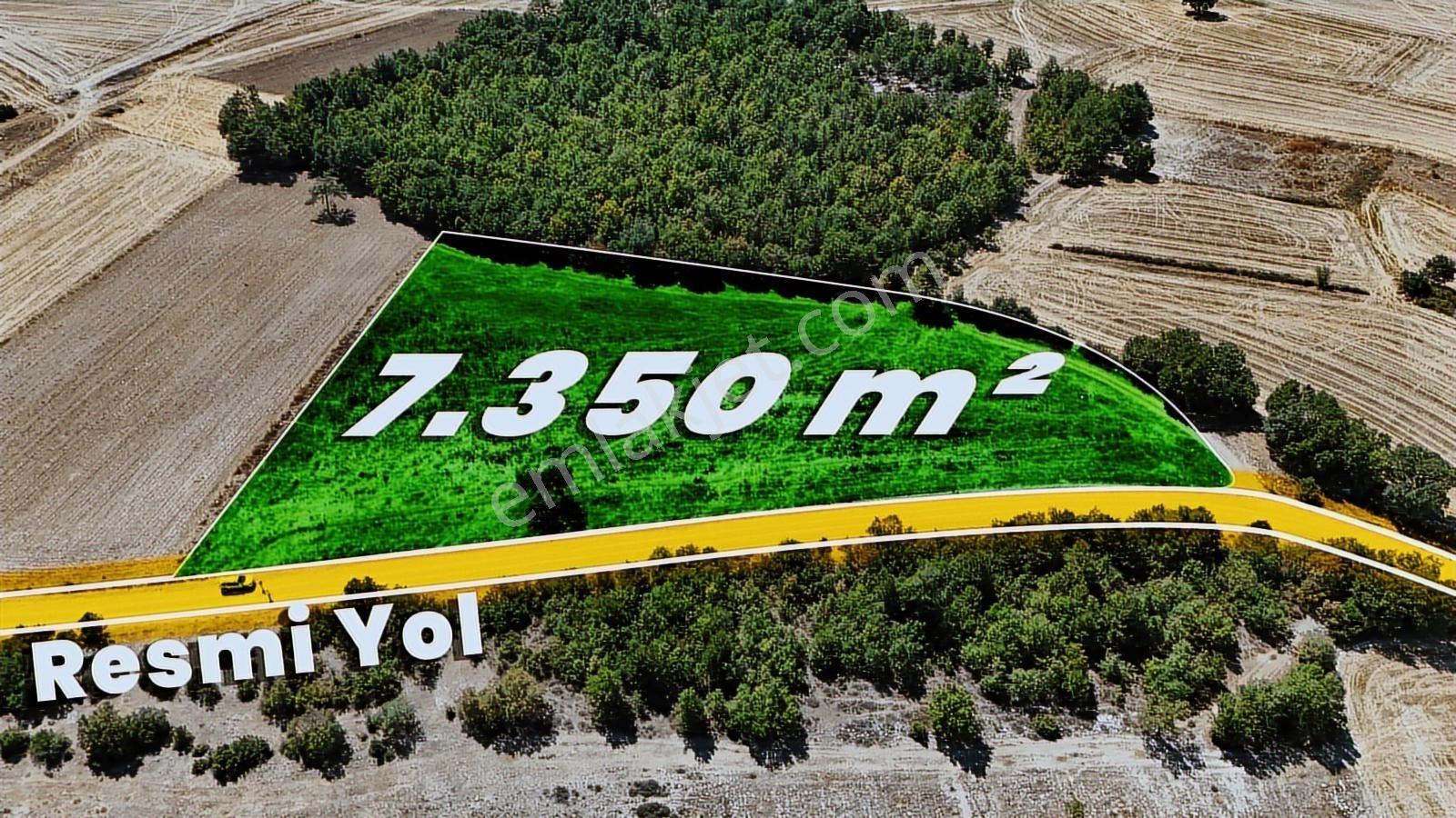 Bilecik Merkez Kınık'ta 7.350 M² Müstakil Tapulu Çiftlik Arazisi - Görsel 10