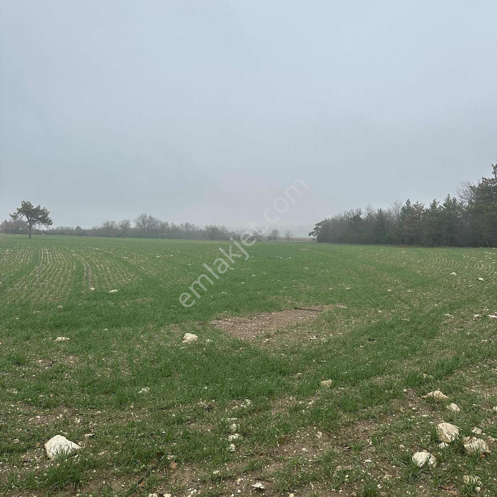 Bilecik Merkez Kınık'ta 7.350 M² Müstakil Tapulu Çiftlik Arazisi - Görsel 28