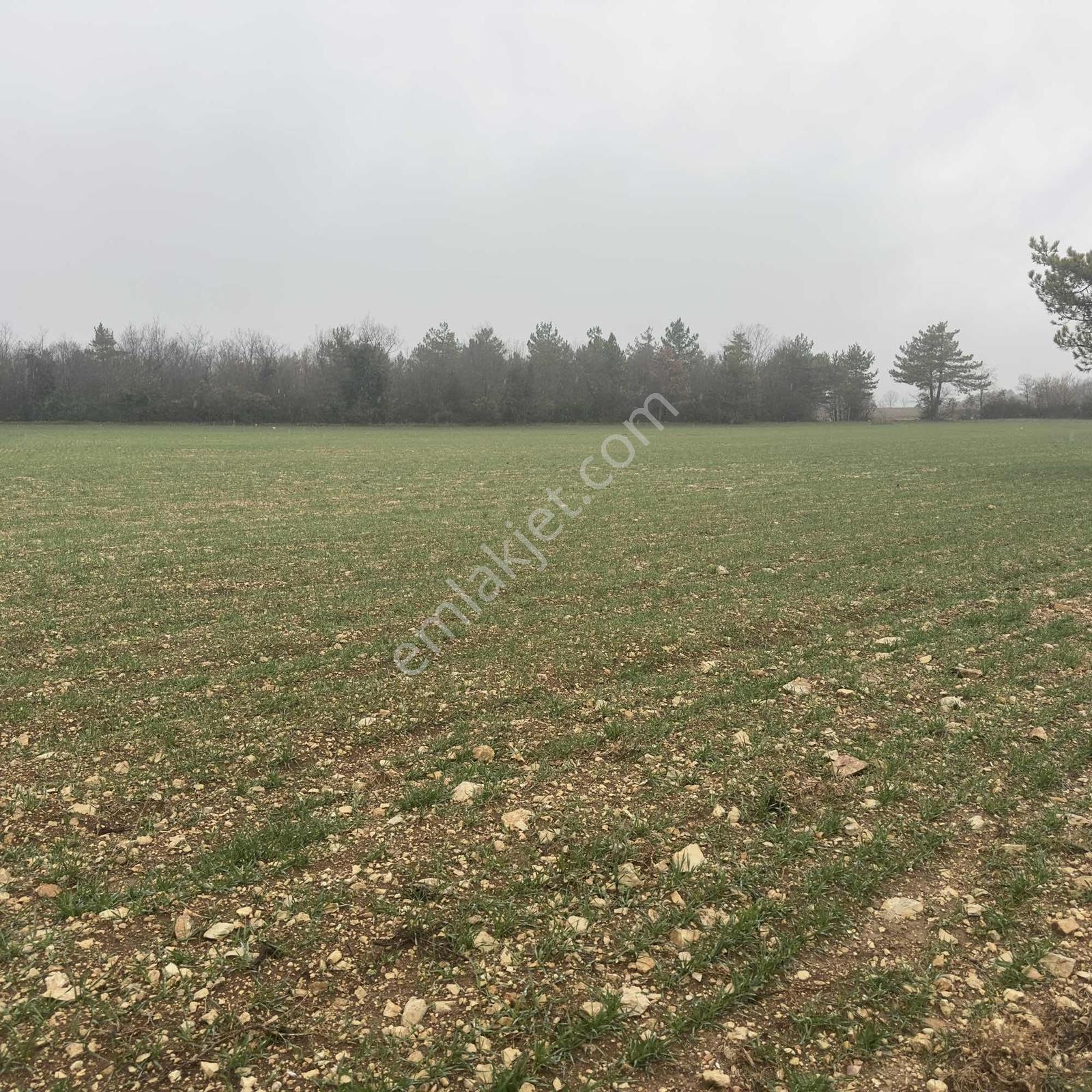Bilecik Merkez Kınık'ta 7.350 M² Müstakil Tapulu Çiftlik Arazisi - Görsel 32