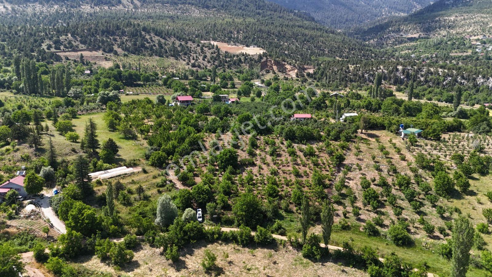 Bolkar Emlaktan Arslanköy Yedigözde 3.500 M² Meyve Bahçesi - Görsel 25