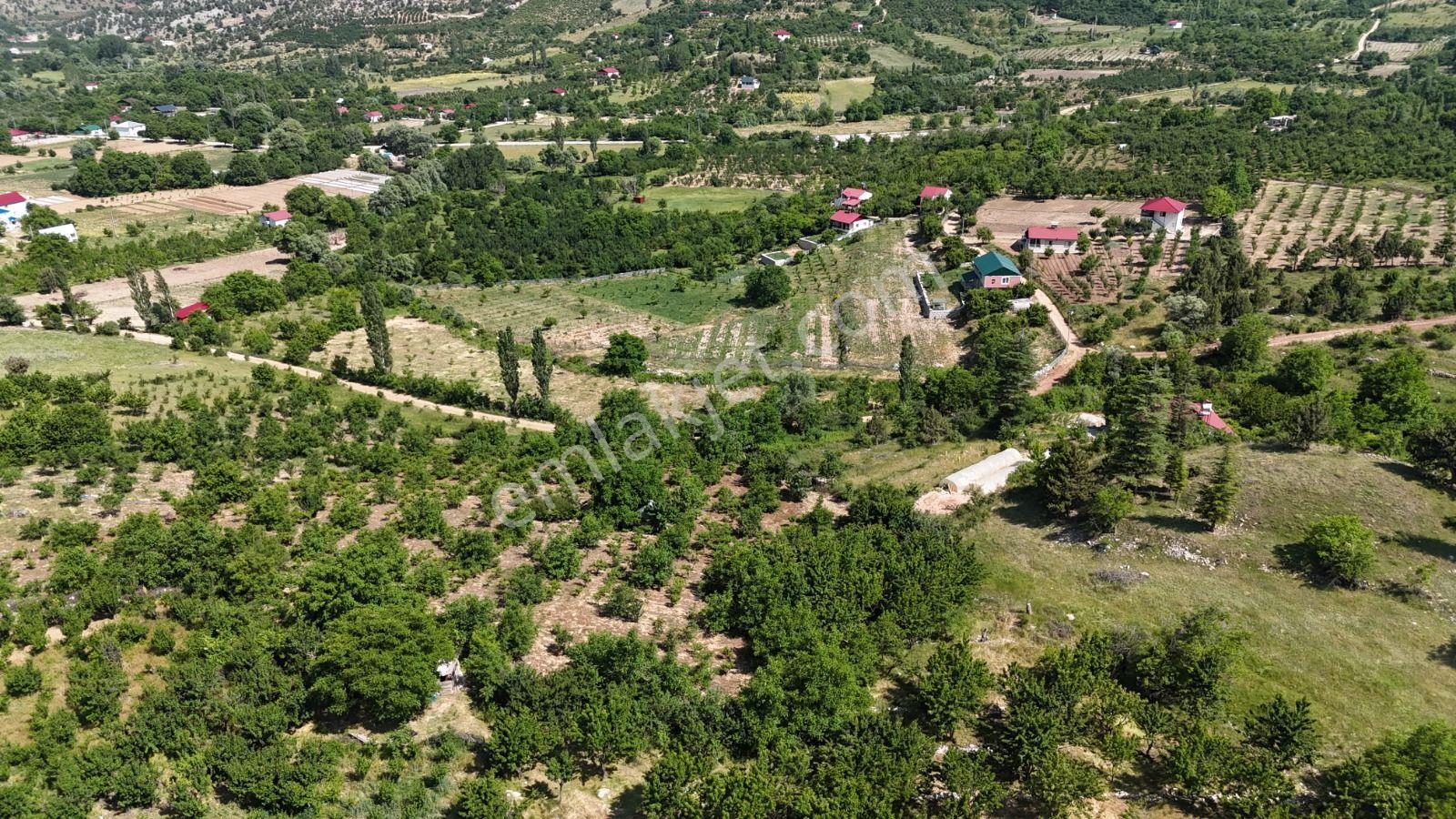 Bolkar Emlaktan Arslanköy Yedigözde 3.500 M² Meyve Bahçesi - Görsel 22