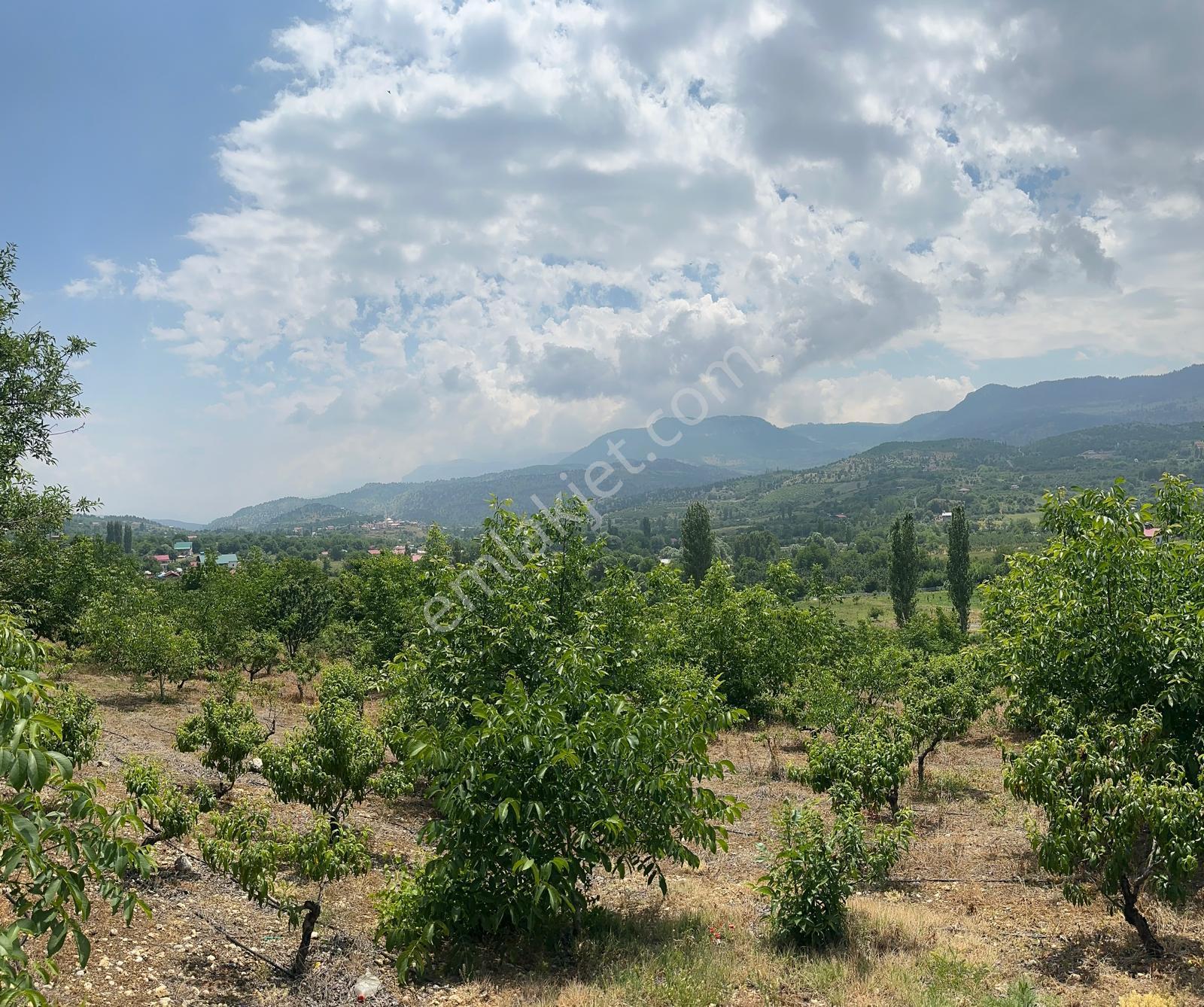 Bolkar Emlaktan Arslanköy Yedigözde 3.500 M² Meyve Bahçesi - Görsel 20