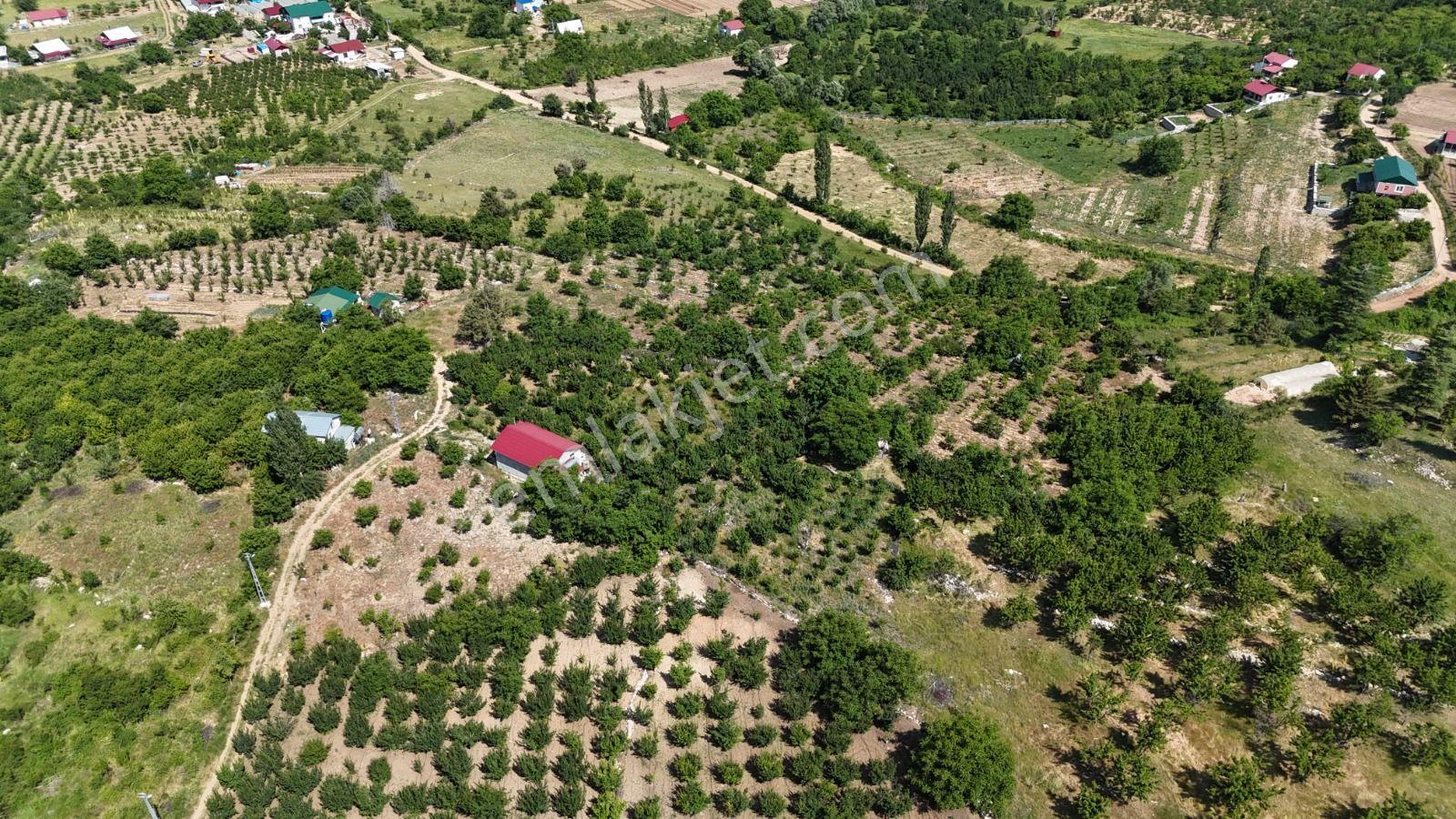 Bolkar Emlaktan Arslanköy Yedigözde 3.500 M² Meyve Bahçesi - Görsel 24