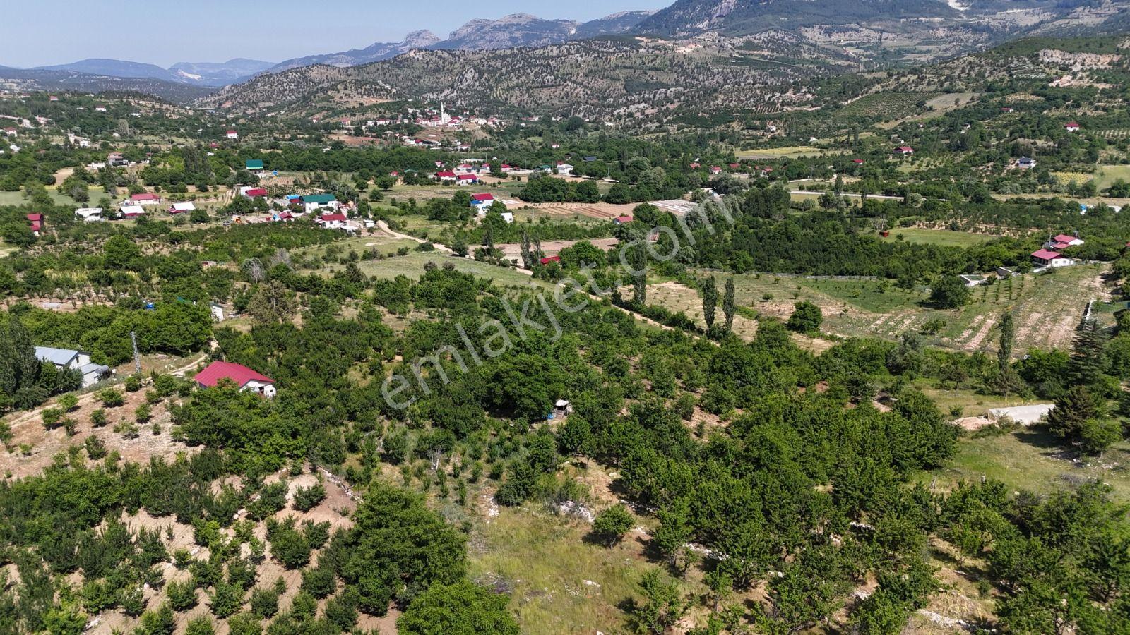 Bolkar Emlaktan Arslanköy Yedigözde 3.500 M² Meyve Bahçesi