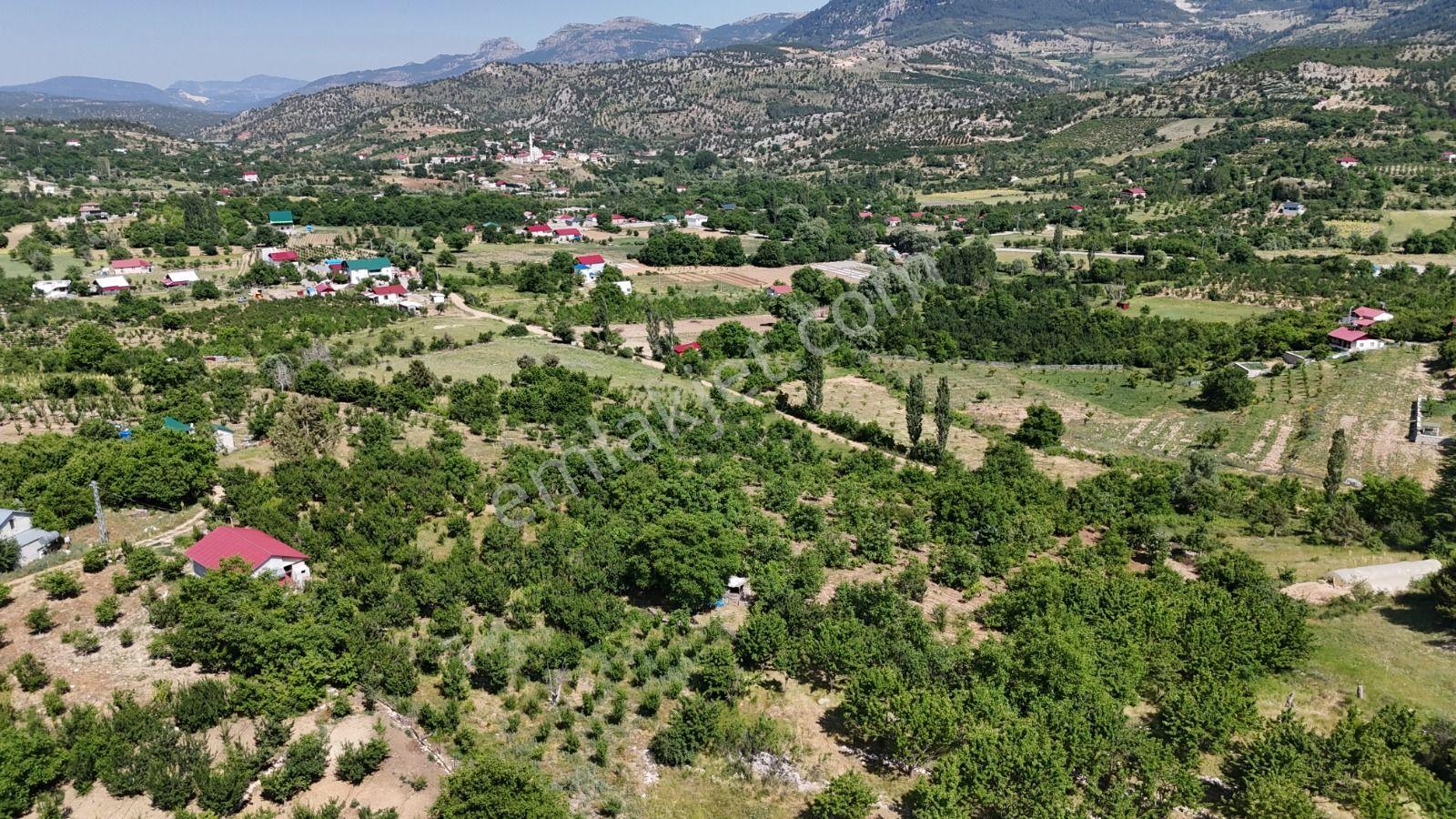 Bolkar Emlaktan Arslanköy Yedigözde 3.500 M² Meyve Bahçesi - Görsel 23