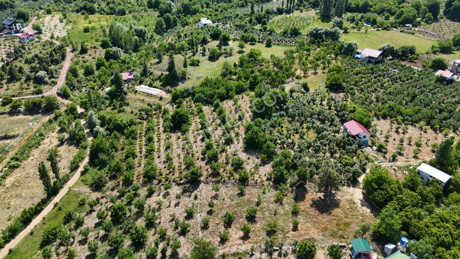 Bolkar Emlaktan Arslanköy Yedigözde 3.500 M² Meyve Bahçesi - Görsel 26