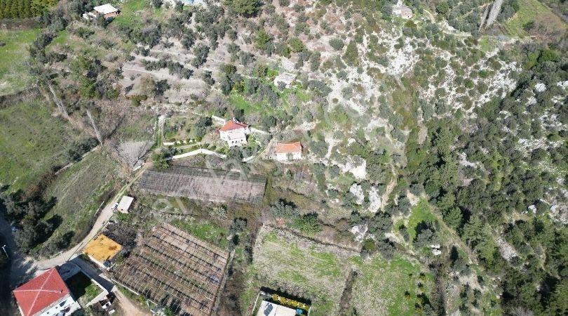 Kalkan'da 13.715 M2 Arazide 2 Adet Ev 1 Adet Depo Ve Sera - Görsel 23