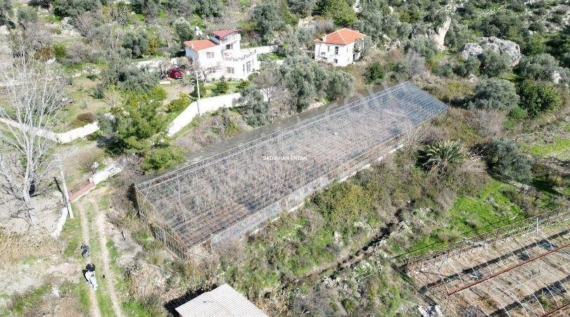 Kalkan'da 13.715 M2 Arazide 2 Adet Ev 1 Adet Depo Ve Sera - Görsel 8