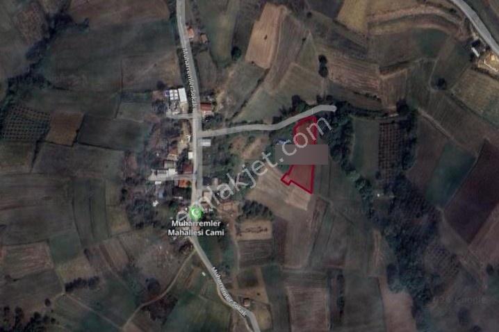 İmara Komşu Yola Cepheli Tarla - Görsel 14