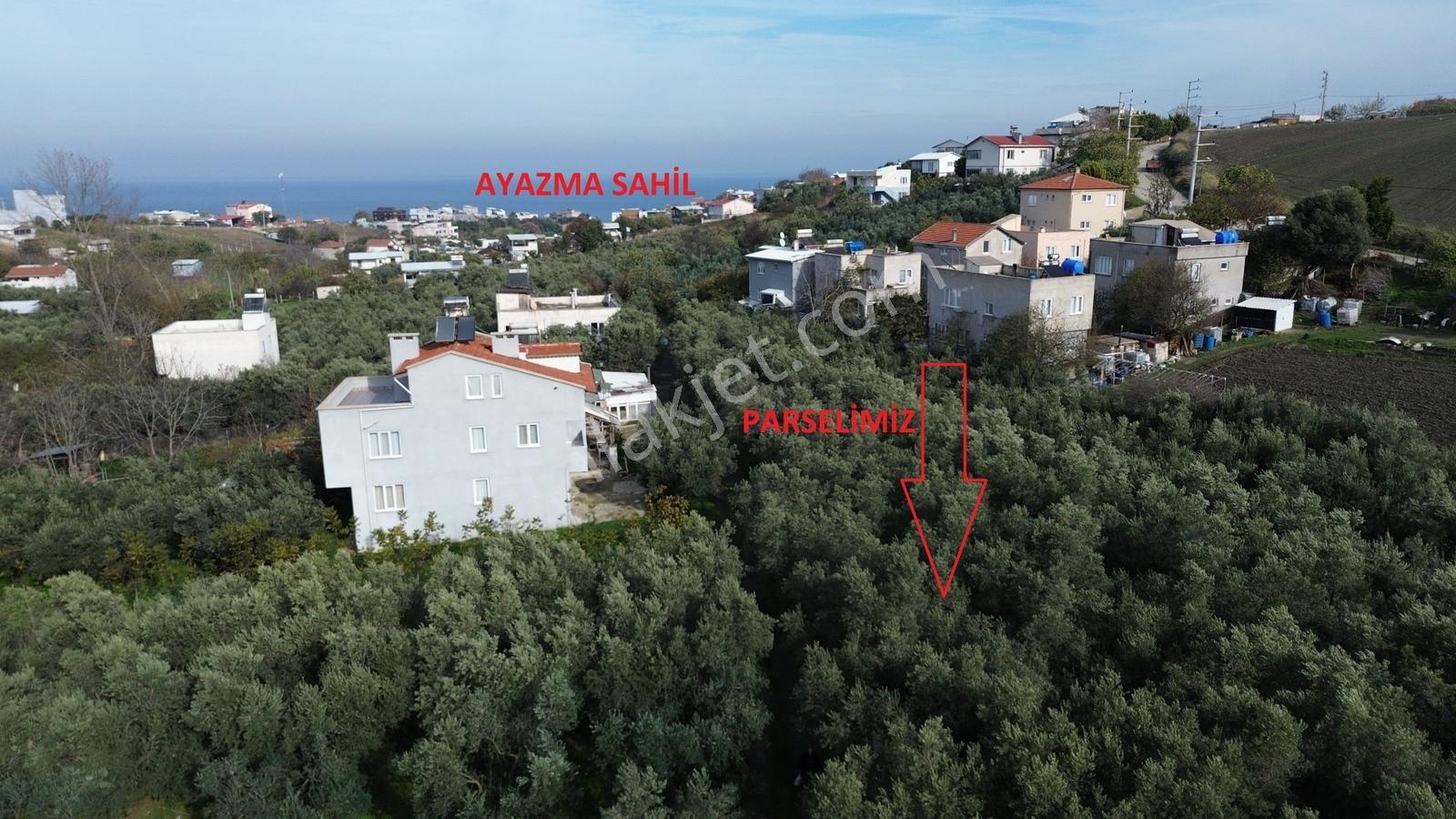 Müstakil Tapulu Elektrik Ve Suyu Hazır. - Görsel 12