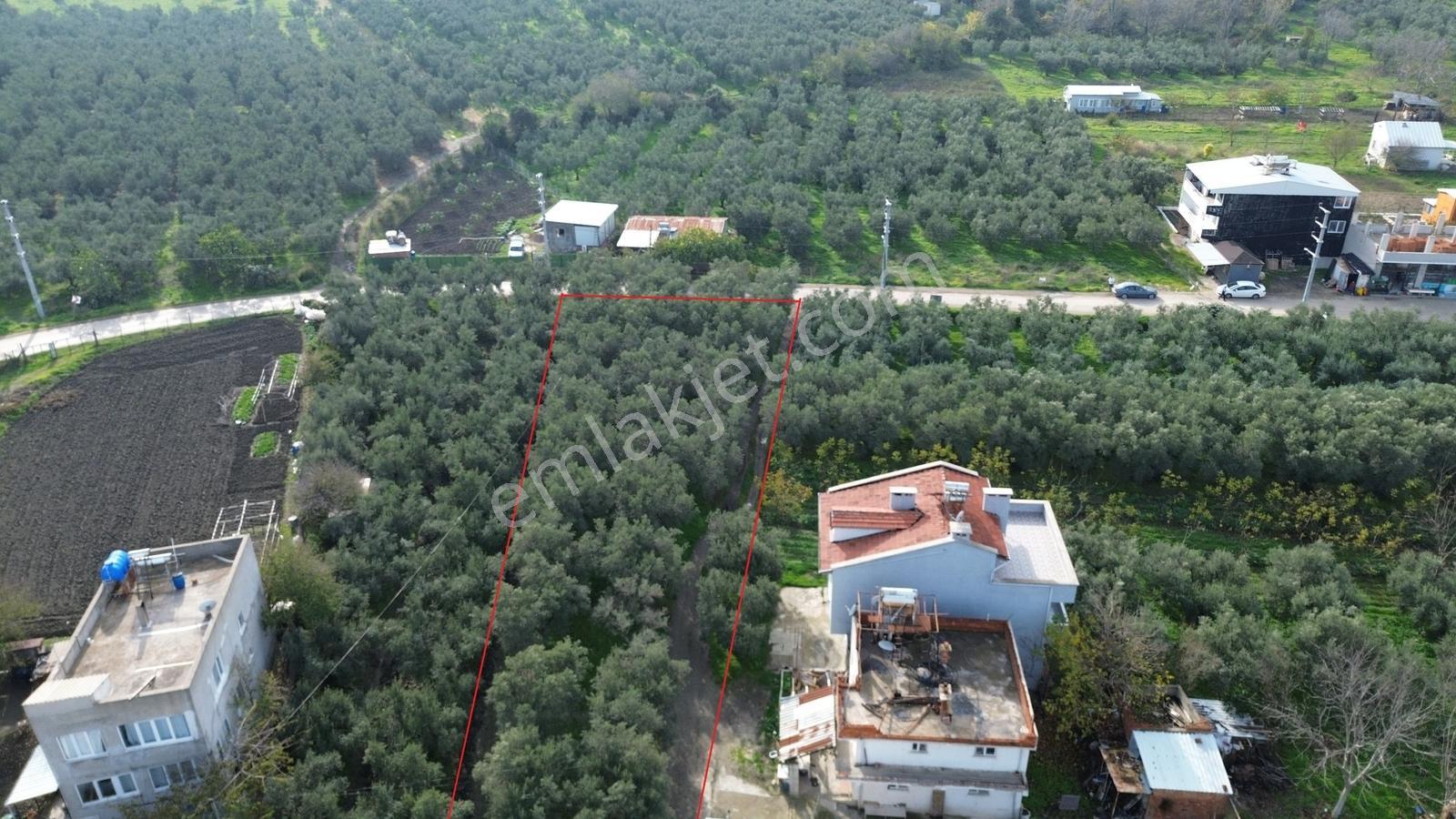 Müstakil Tapulu Elektrik Ve Suyu Hazır. - Görsel 2