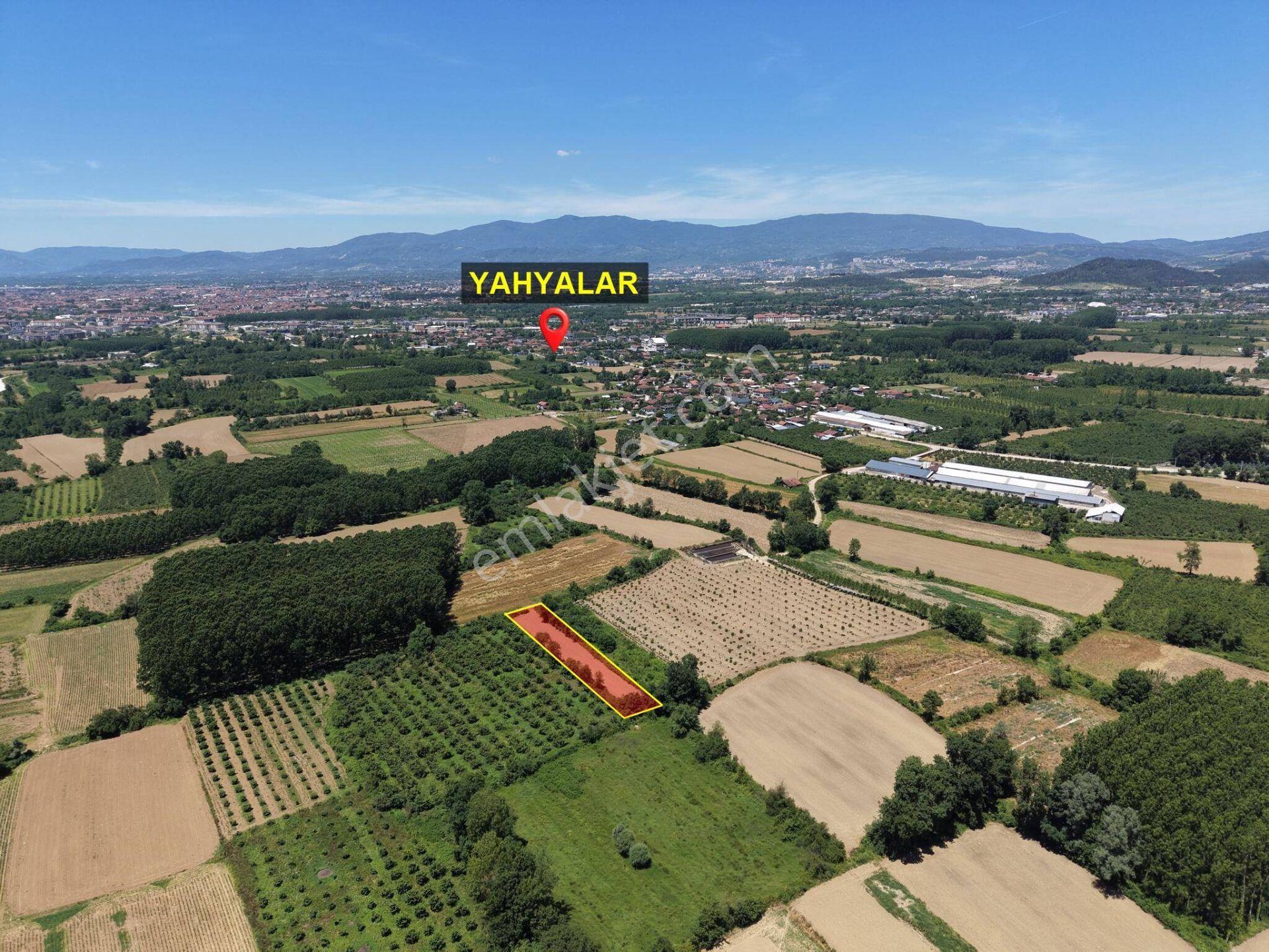 Gündolaması Köyü'nde 1365 M2 Satılık Arazi - Görsel 5
