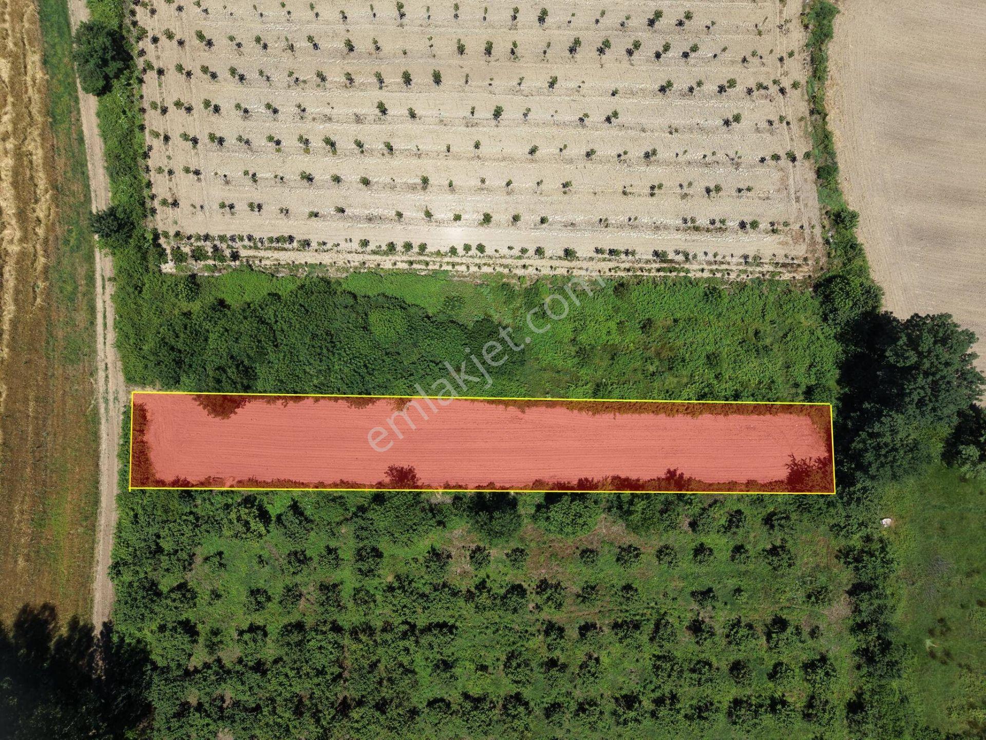 Gündolaması Köyü'nde 1365 M2 Satılık Arazi - Görsel 8