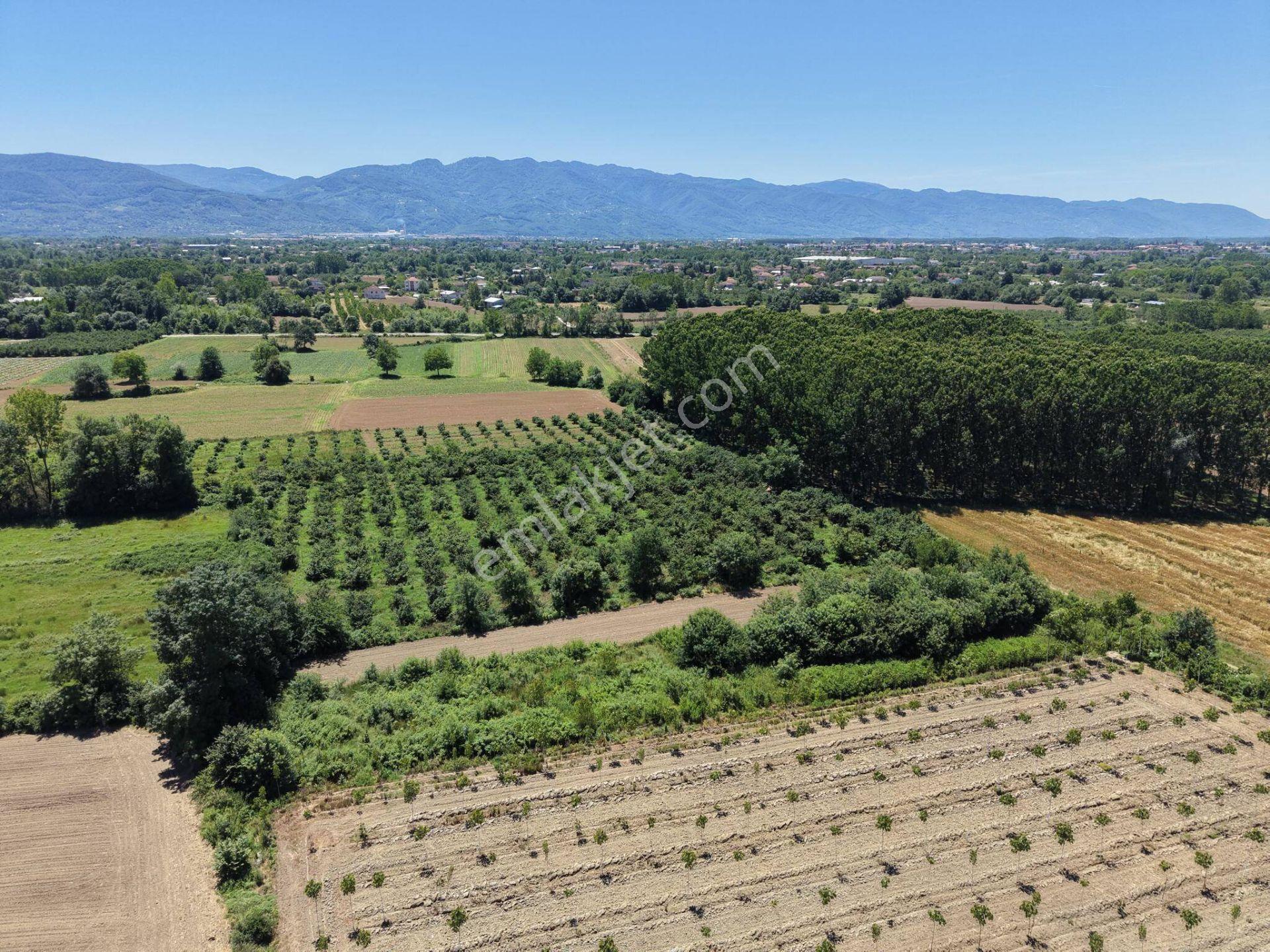 Gündolaması Köyü'nde 1365 M2 Satılık Arazi - Görsel 13