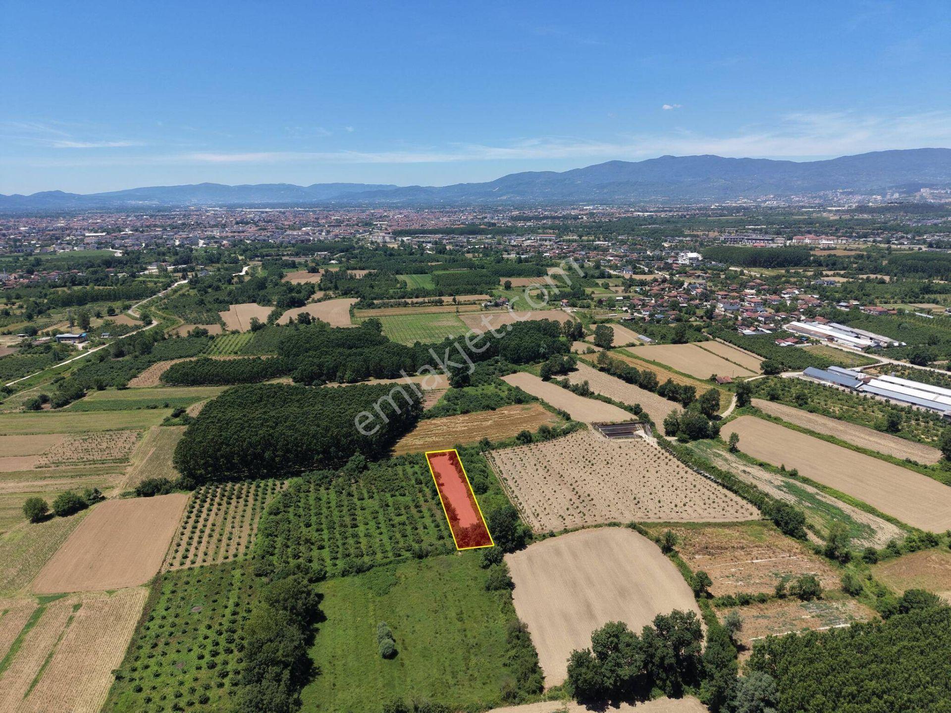 Gündolaması Köyü'nde 1365 M2 Satılık Arazi - Görsel 24