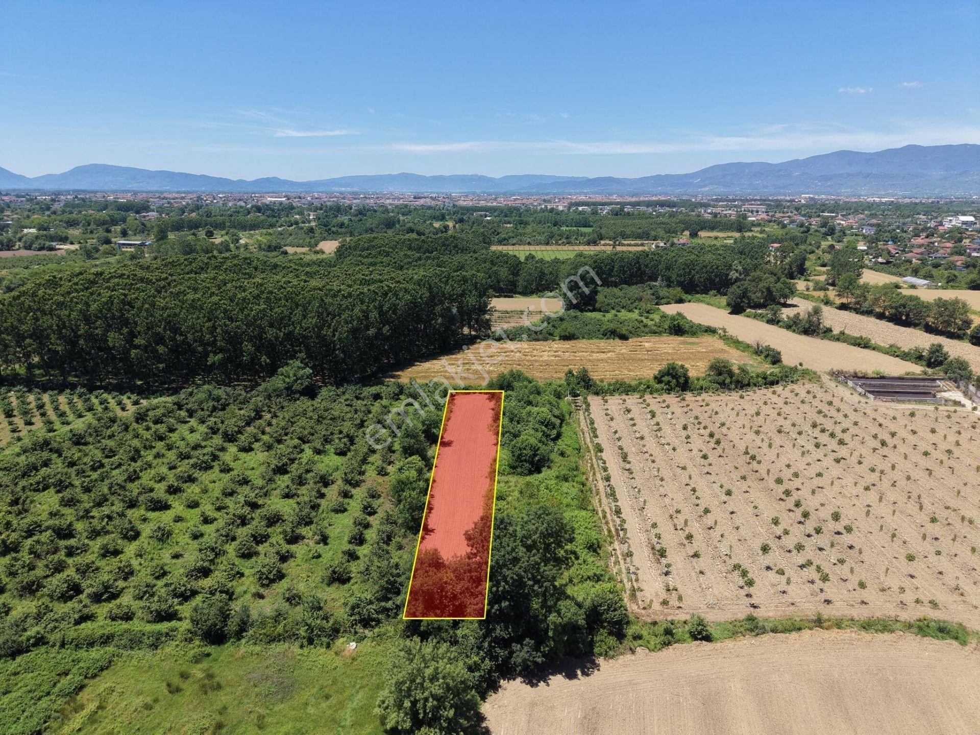 Gündolaması Köyü'nde 1365 M2 Satılık Arazi - Görsel 20